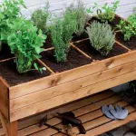 Orto sul balcone: perché e come realizzarlo!